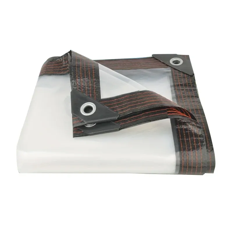 Bâche PVC transparente 2x2 à 3x3m anti-gel anti-vent