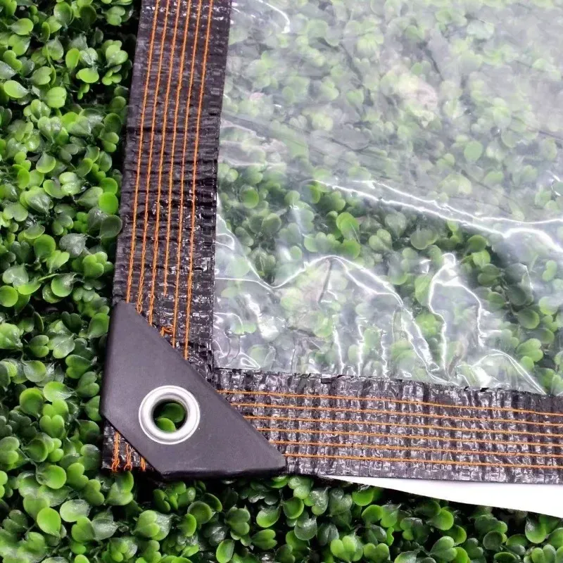 Bâche transparente 2x2 à 3x4m résistante au froid