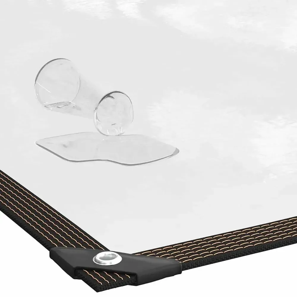 Bâche transparente 6x8m polyéthylène avec œillets