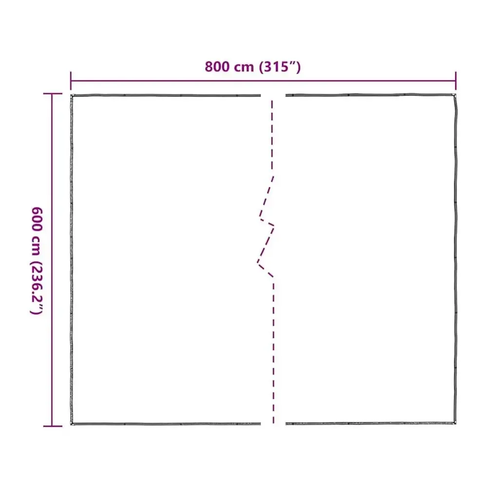 Bâche transparente 6x8m polyéthylène avec œillets