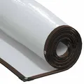 Bâche transparente 6x8m polyéthylène avec œillets – Couleur Transparent