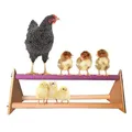 Balançoire perroquet échelle perchoir bois poulailler cage – 1