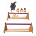 Balançoire perroquet échelle perchoir bois poulailler cage – 3