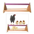 Balançoire perroquet échelle perchoir bois poulailler cage – 4