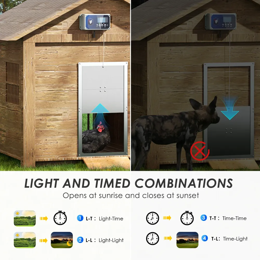 Boîte commande porte poulet télécommande minuterie lumière