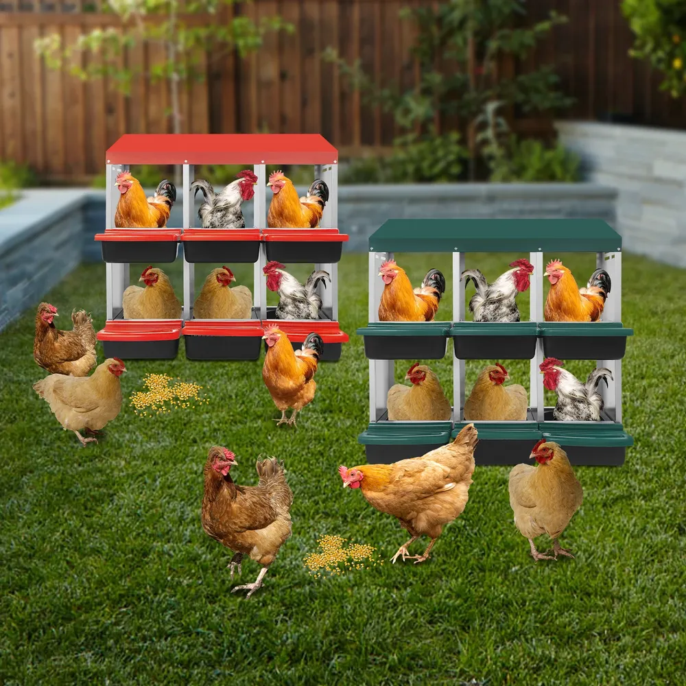 Boîte de nid de poulet 6 compartiments acier galvanisé