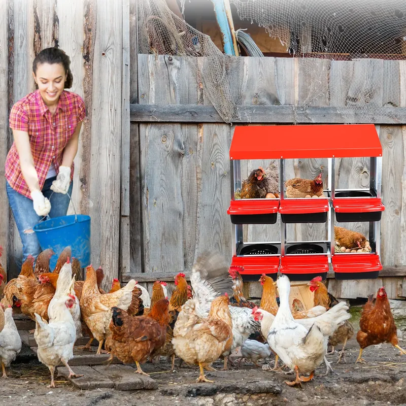 Boîte nidification poules 6 à 8 trous avec pieds mobile