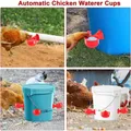 Bol abreuvoir automatique pour volaille lot de 2 à 20 – 6
