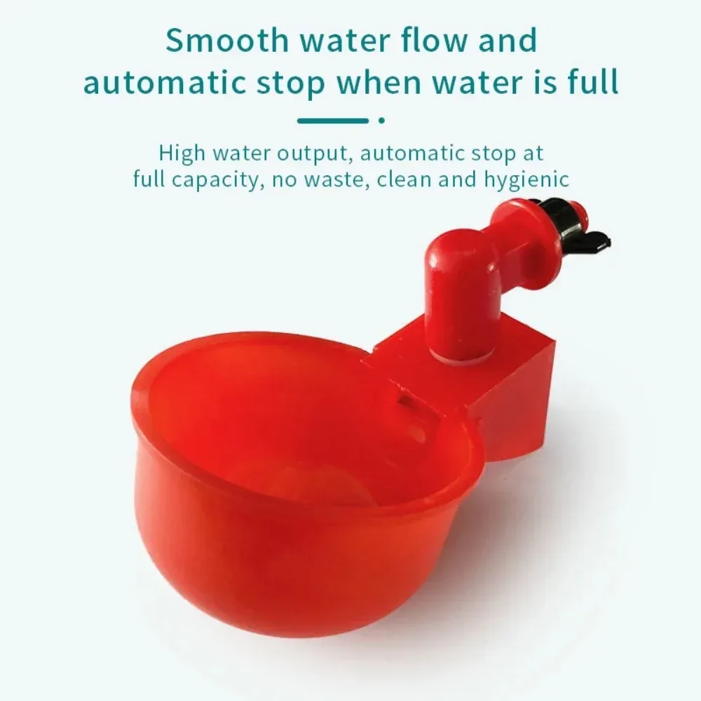 Bol abreuvoir automatique pour volaille lot de 2 à 20