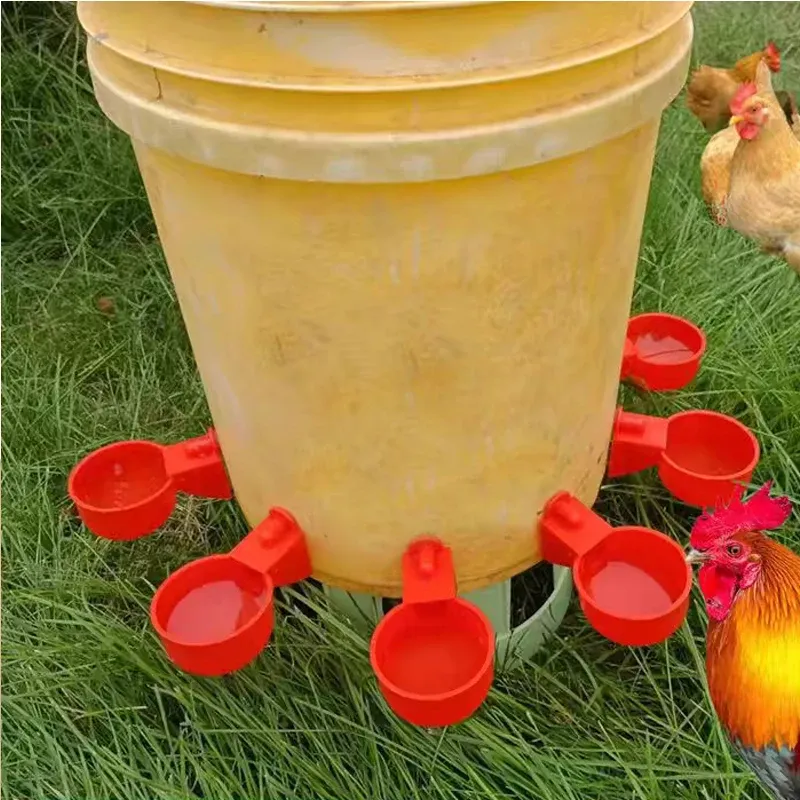 Bol abreuvoir automatique pour volaille lot de 2