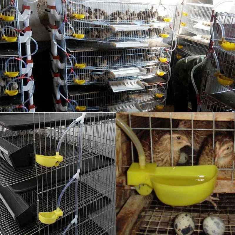 Bol abreuvoir automatique pour volaille lot de 50