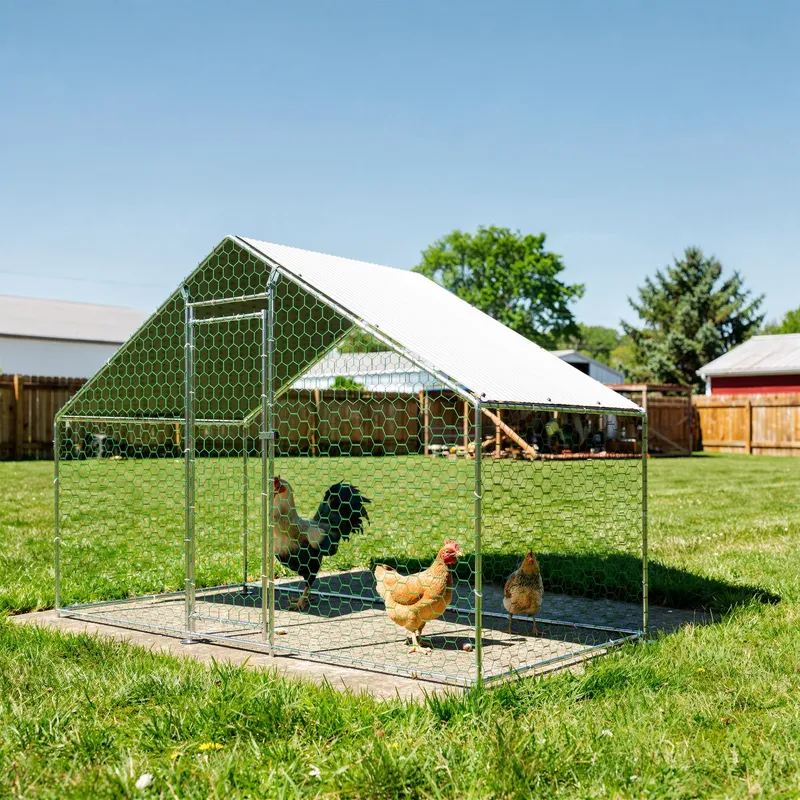 Cage à poulets 3x1,5 m cadre acier 1 mm