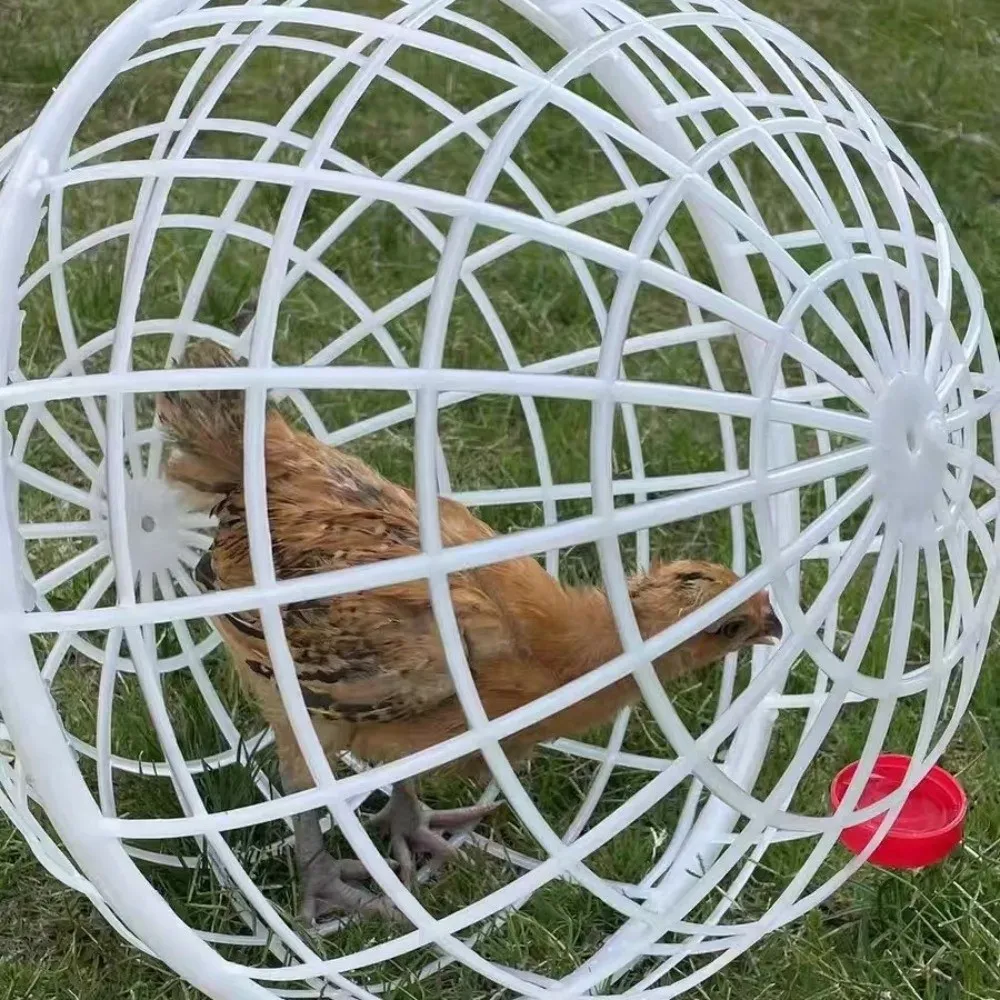 Cage poules mobile ventilée extérieure pour ferme et jardin