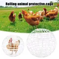 Cage poulets boule mobile extérieure tunnels ventilés portables – 4