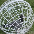 Cage poulets boule mobile extérieure tunnels ventilés portables – 5