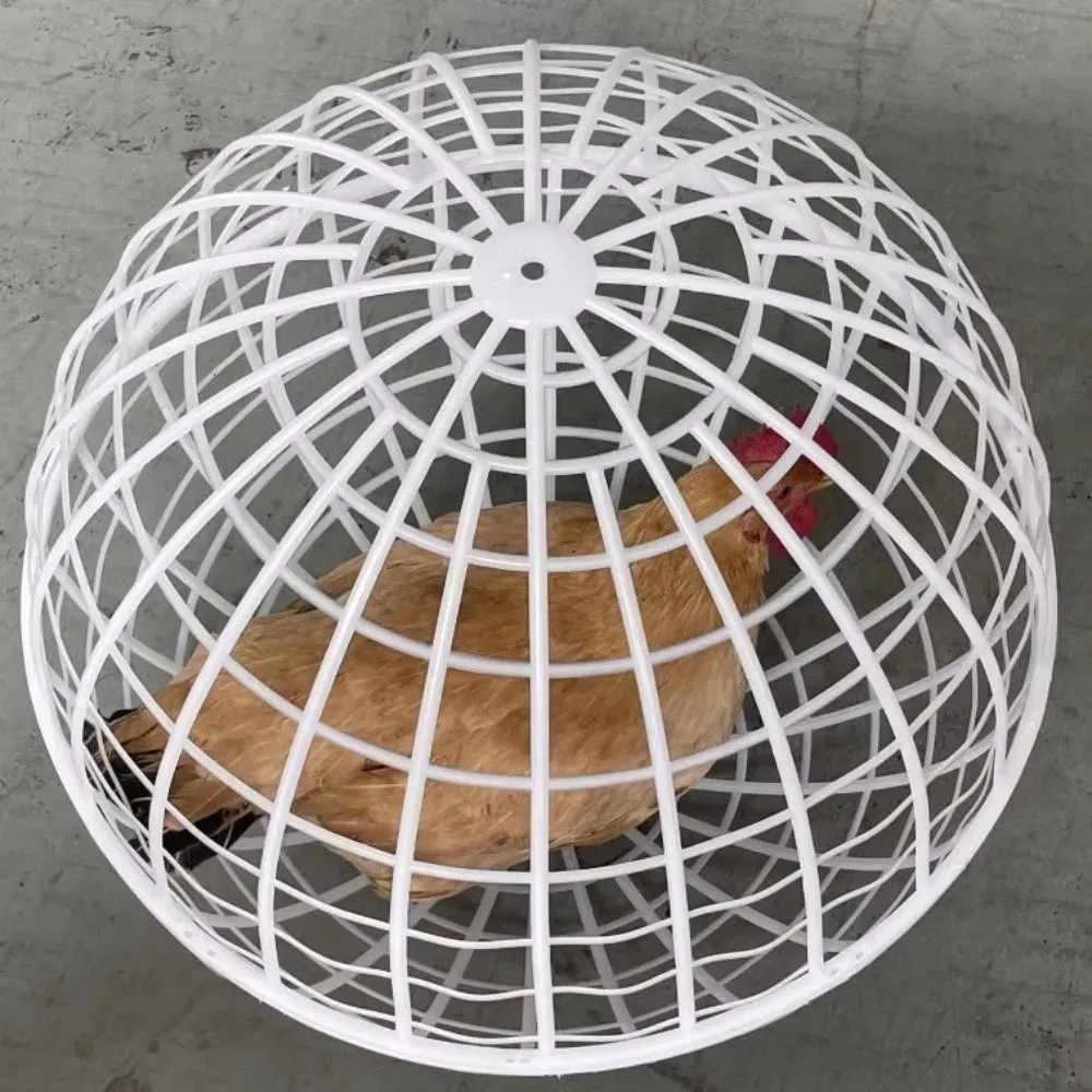 Cage poulets boule mobile extérieure tunnels ventilés portables