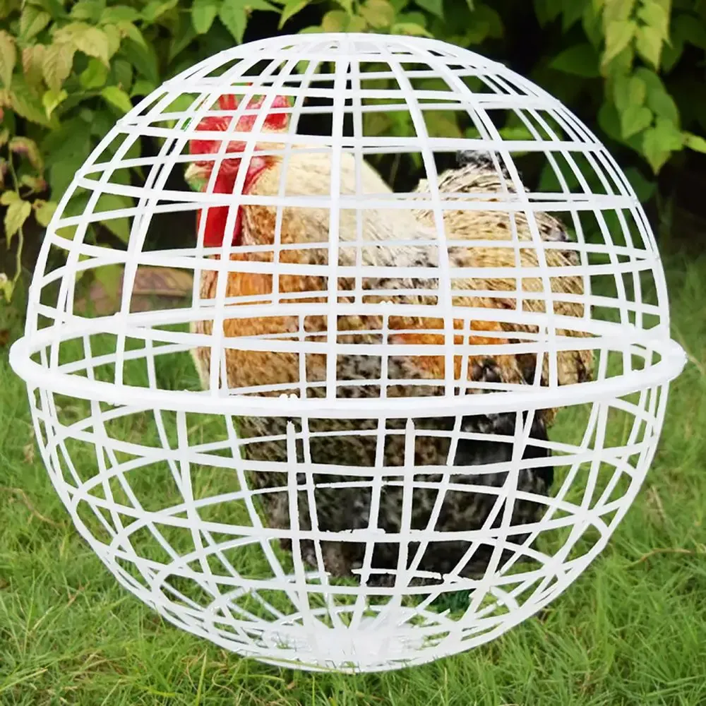 Cage poulets roulante détachable maille XXL XXXL