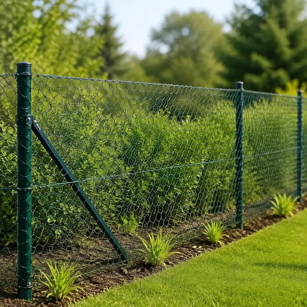 Clôture en treillis métallique PVC vert pour jardin et poulailler