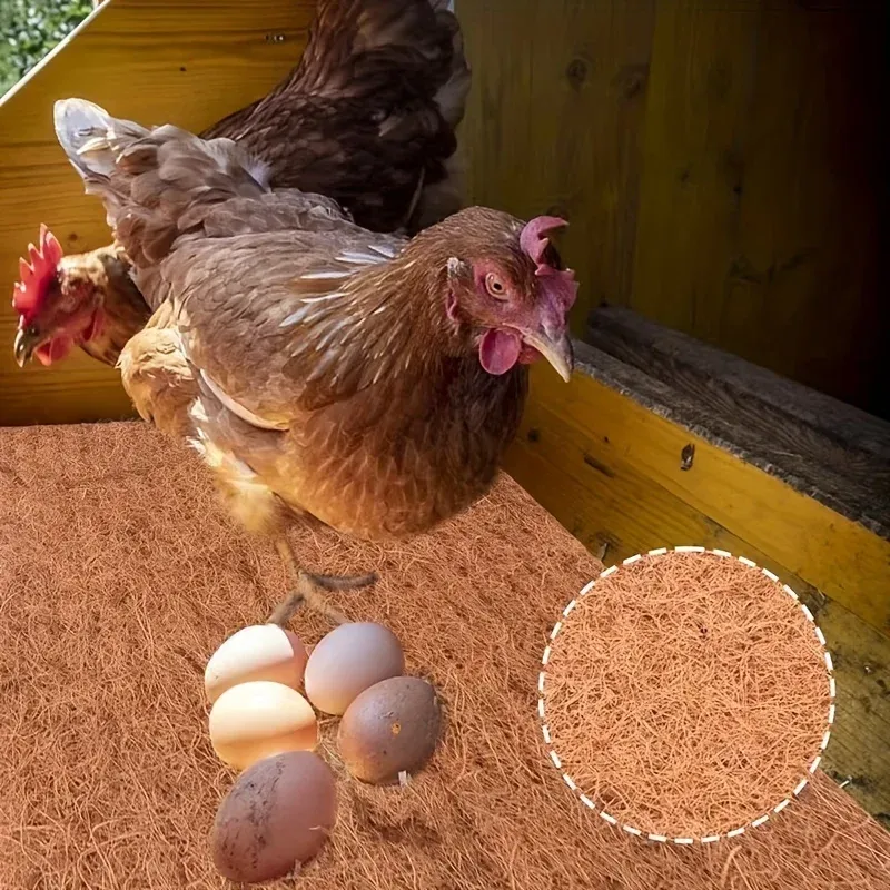 Coussinets nidification coco fibre de palmier réutilisables