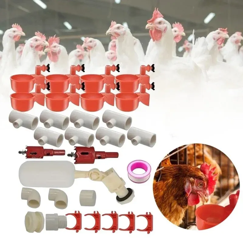 Distributeur automatique 2-en-1 nourriture et eau volailles