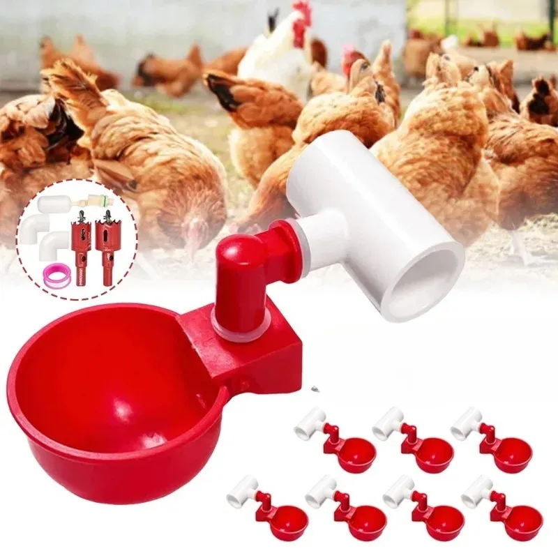 Distributeur automatique 2-en-1 nourriture et eau volailles
