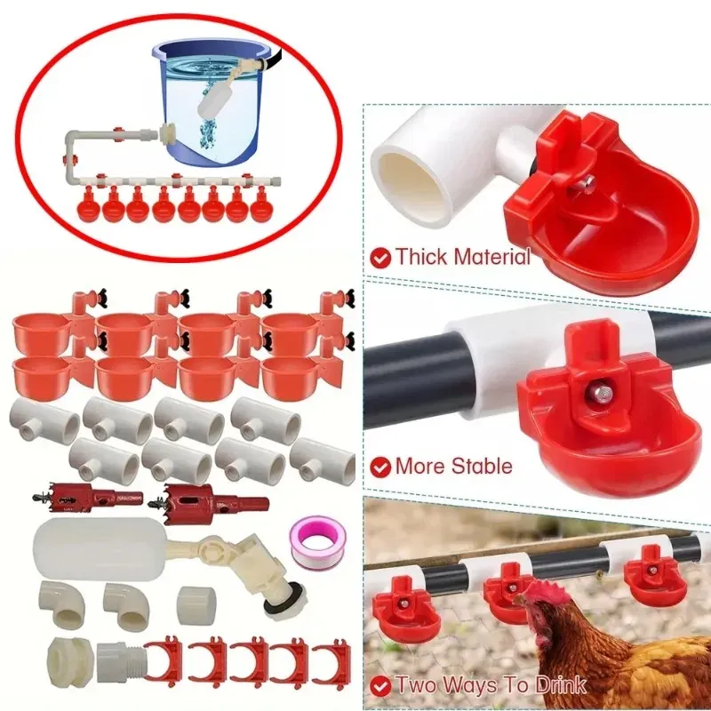 Distributeur automatique 2-en-1 nourriture et eau volailles