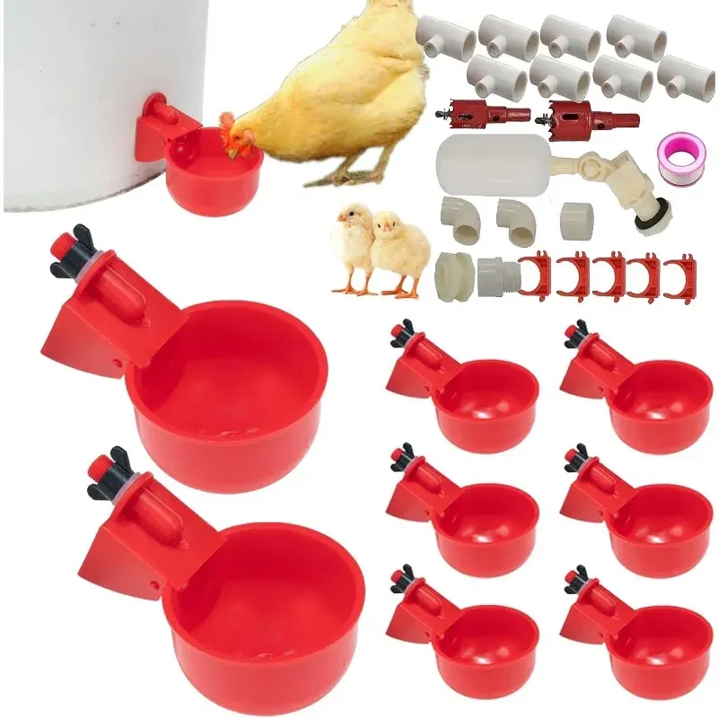 Distributeur automatique 2-en-1 nourriture et eau volailles