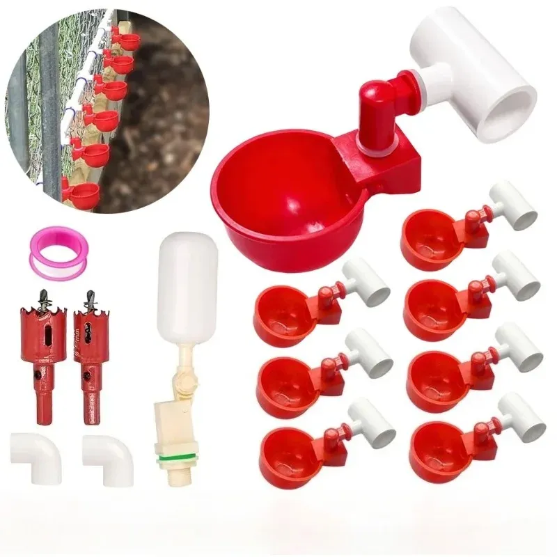 Distributeur automatique 2-en-1 nourriture et eau volailles