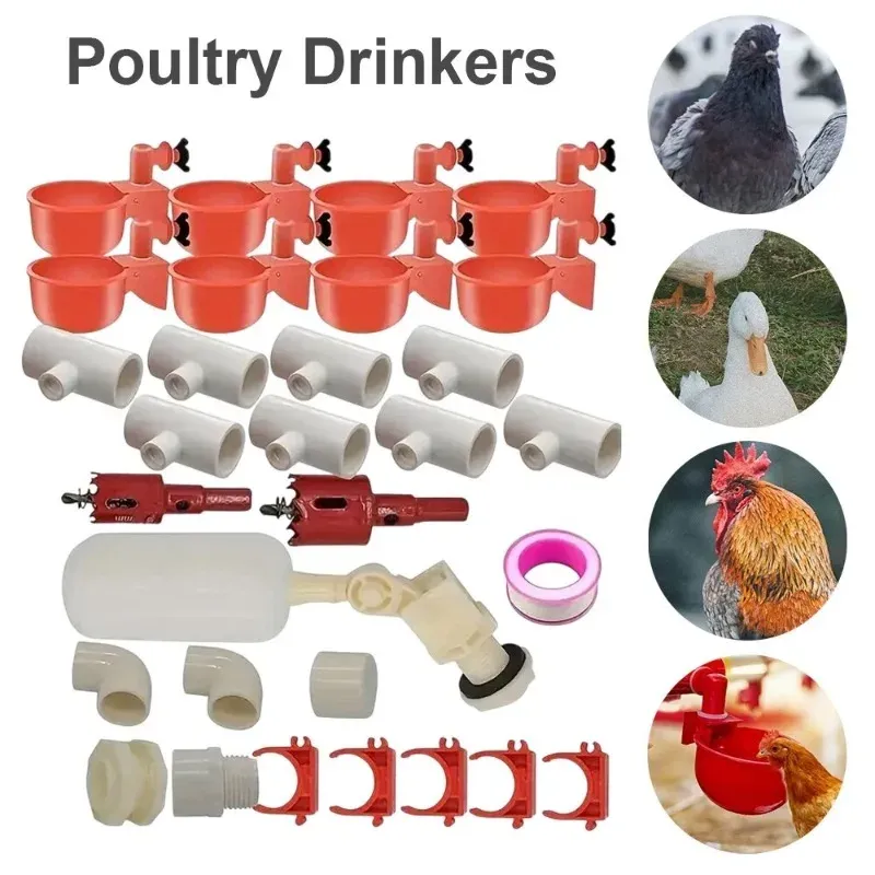 Distributeur automatique 2-en-1 nourriture et eau volailles