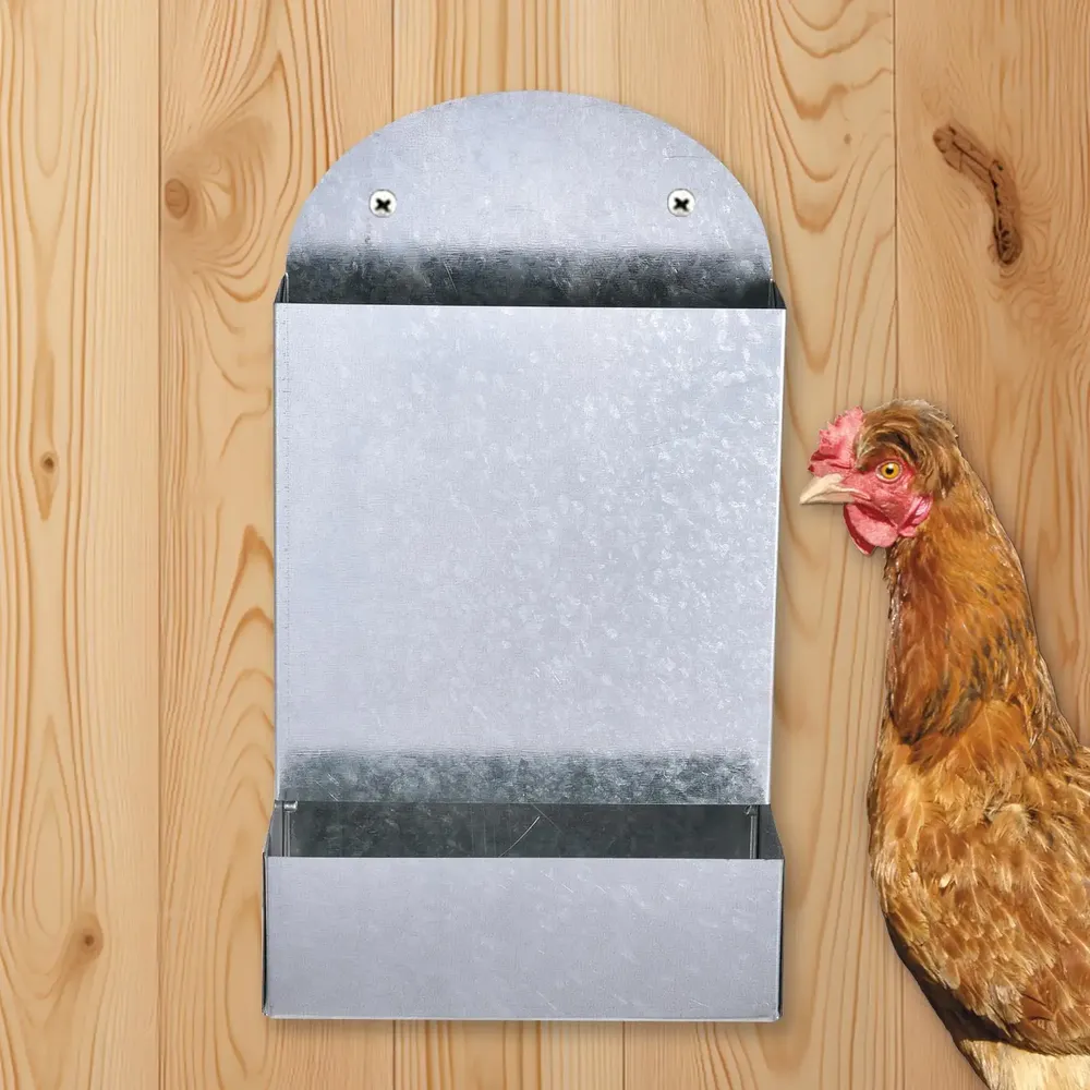 Distributeur automatique grain pour volailles avec support