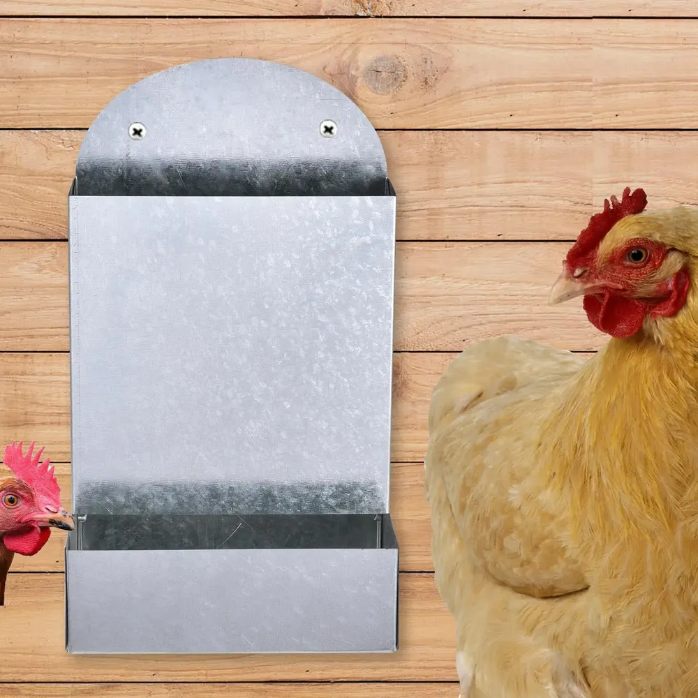 Distributeur automatique grain pour volailles avec support