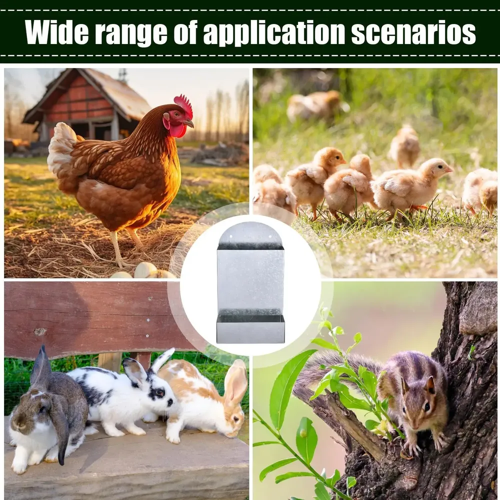 Distributeur automatique grain pour volailles avec support