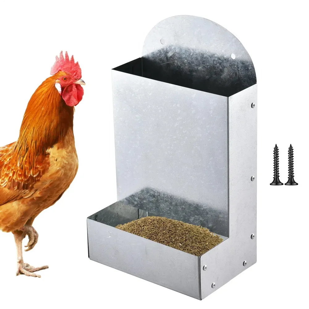 Distributeur automatique grain pour volailles avec support