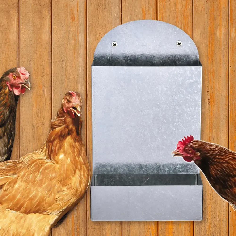 Distributeur automatique grain pour volailles avec support