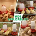 Distributeur automatique nourriture et eau pour volailles 1L – 2