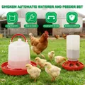 Distributeur automatique nourriture et eau pour volailles 1L – 6