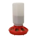 Distributeur automatique nourriture et eau pour volailles 1L – Couleur Food Feeder