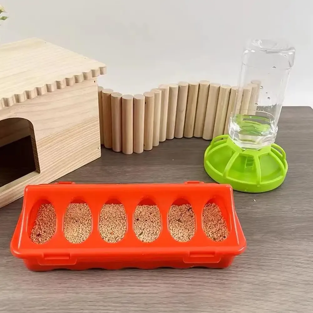 Distributeur automatique nourriture et eau pour volailles