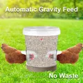 Distributeur d'aliments à gravité pour volailles DIY – 4