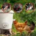 Distributeur d'aliments à gravité pour volailles DIY – 5