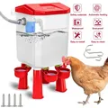 Distributeur d'eau automatique 11L pour volailles et pigeons – 2
