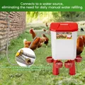 Distributeur d'eau automatique 11L pour volailles et pigeons – 3