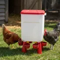 Distributeur d'eau automatique 11L pour volailles et pigeons – 5