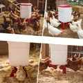 Distributeur d'eau automatique 11L pour volailles et pigeons – 7