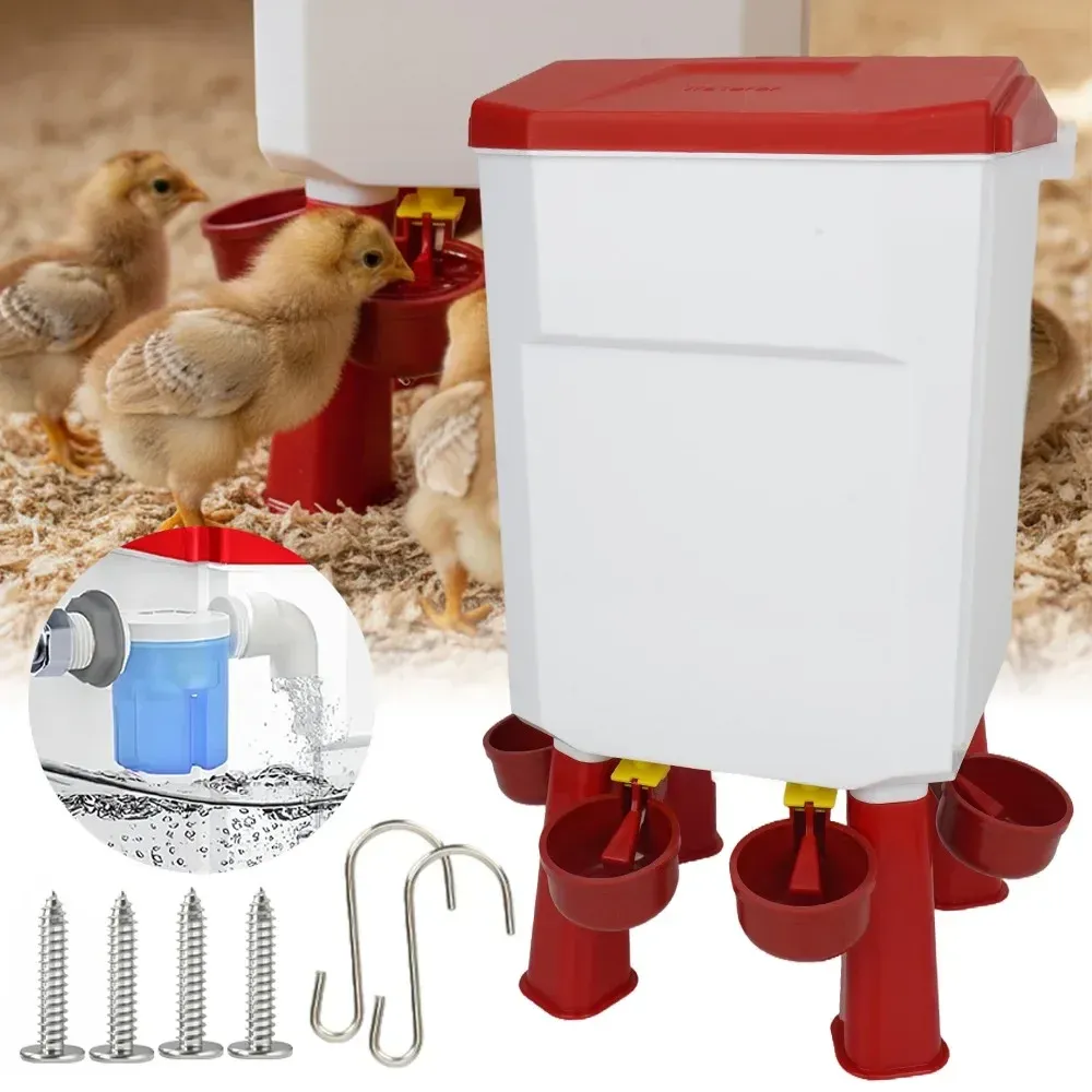 Distributeur d'eau automatique 11L pour volailles et pigeons