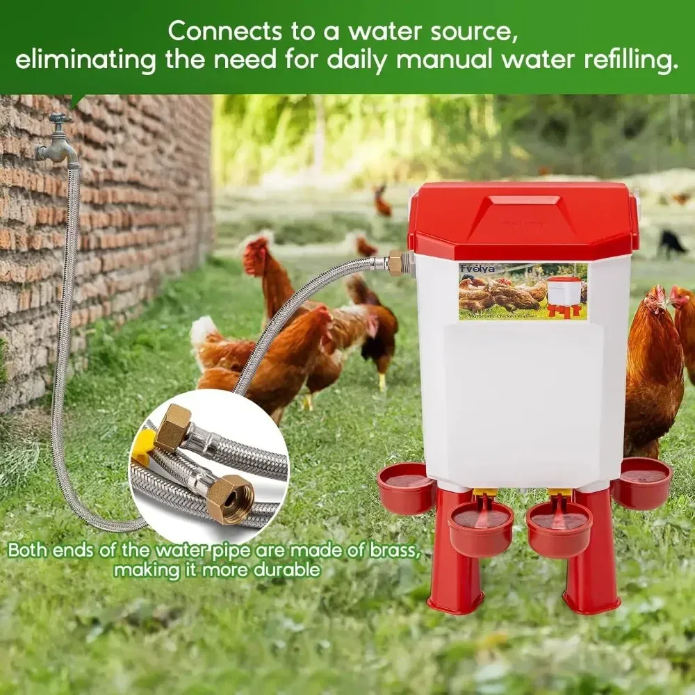 Distributeur d'eau automatique 11L pour volailles et pigeons