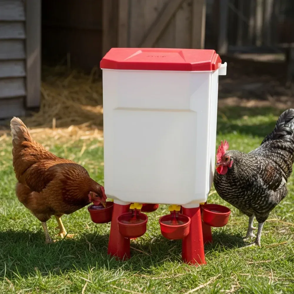 Distributeur d'eau automatique 11L pour volailles et pigeons