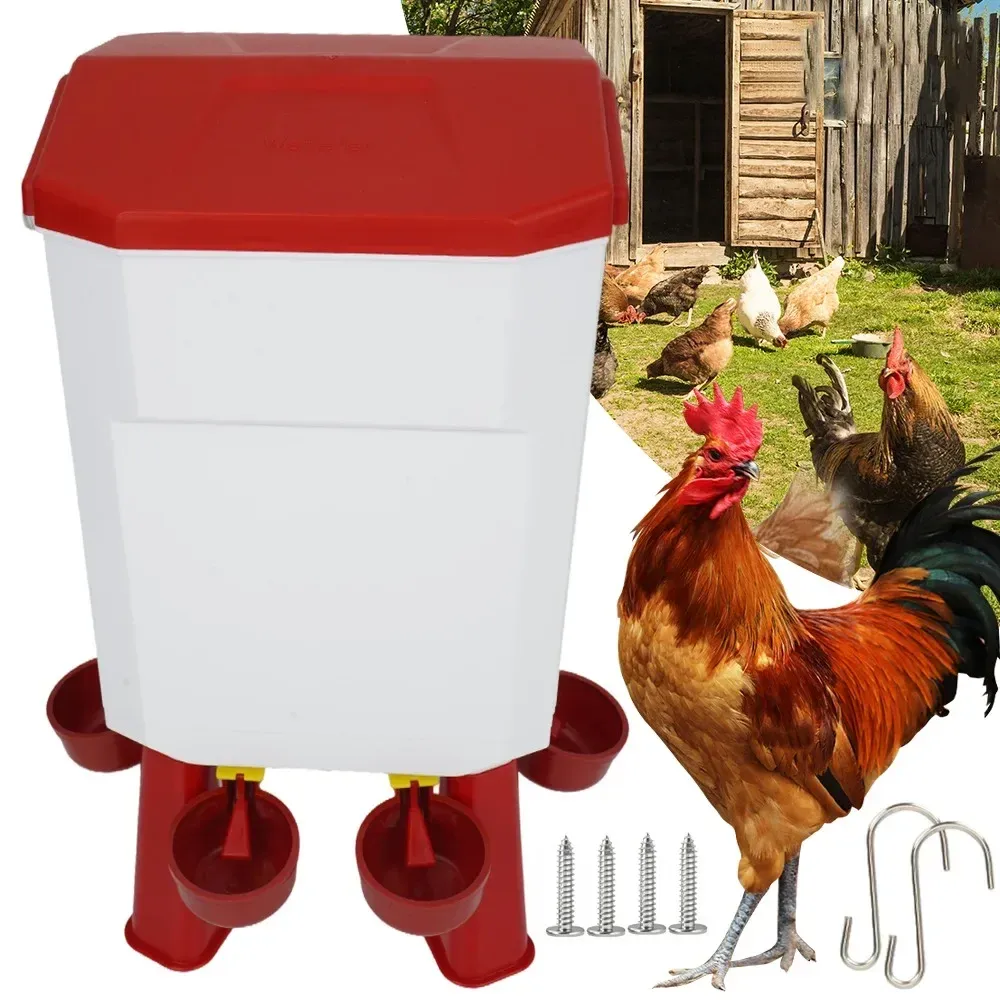 Distributeur d'eau automatique 11L pour volailles et pigeons