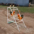 Échelle poulets acier galvanisé et perchoirs bois eucalyptus – 6