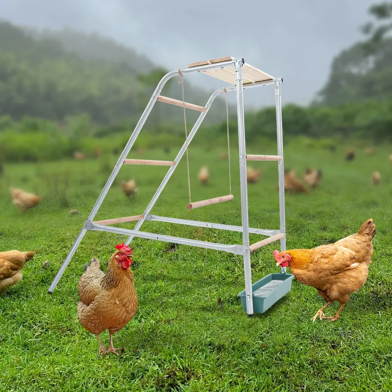 Échelle poulets acier galvanisé et perchoirs bois eucalyptus